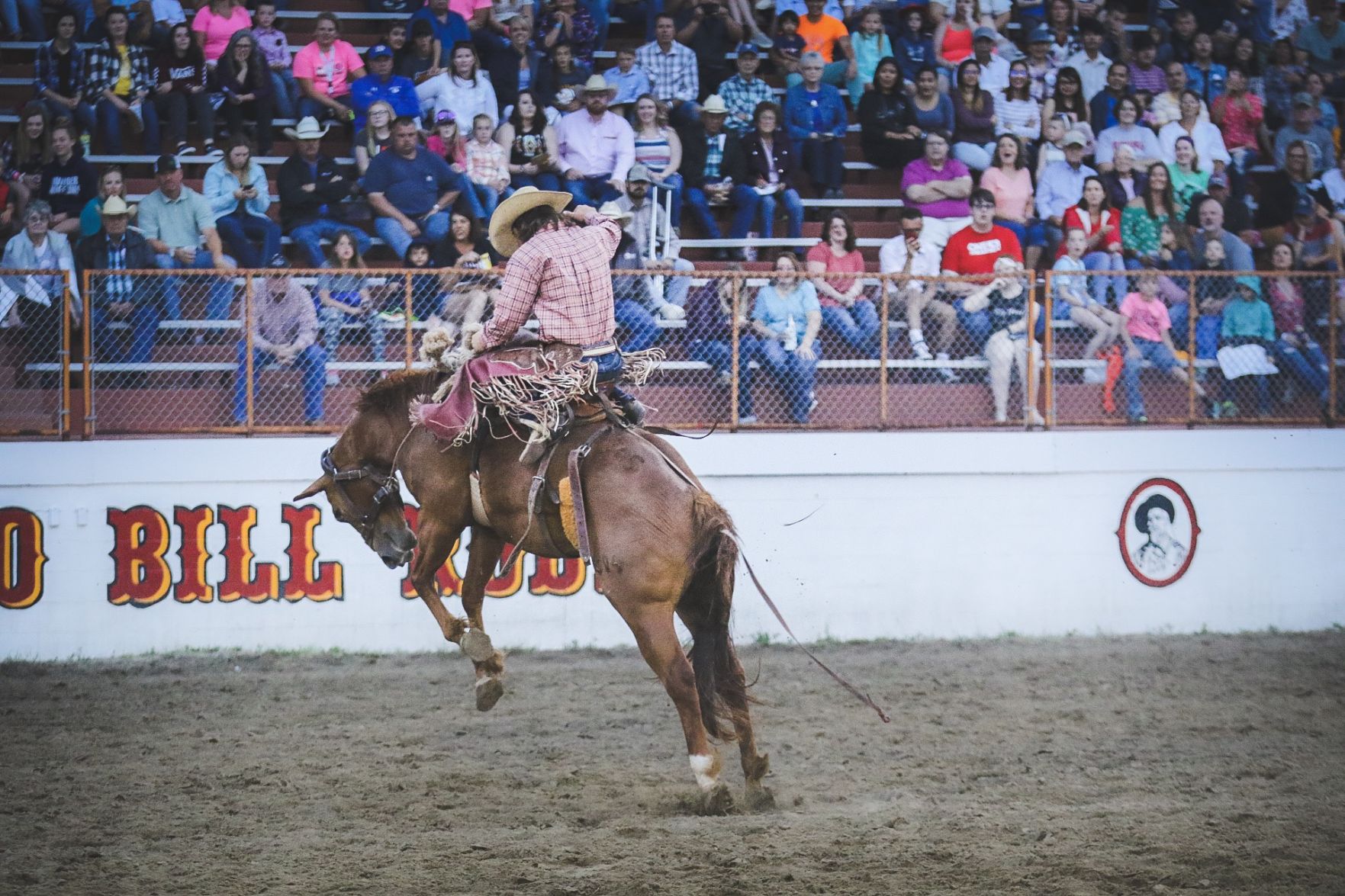 Buffalo Bill Rodeo Night 2 (25).jpg